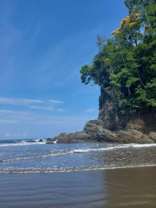 Casa Bahia Ale, Bahia Ballena Uvita Eksteriør bilde
