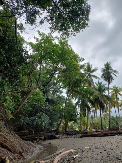 Casa Bahia Ale, Bahia Ballena Uvita Eksteriør bilde